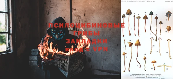 гашик Кулебаки