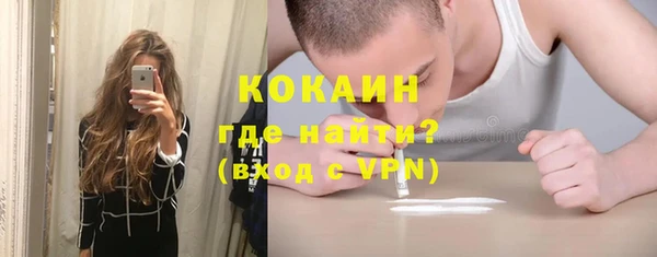 твердый Алзамай