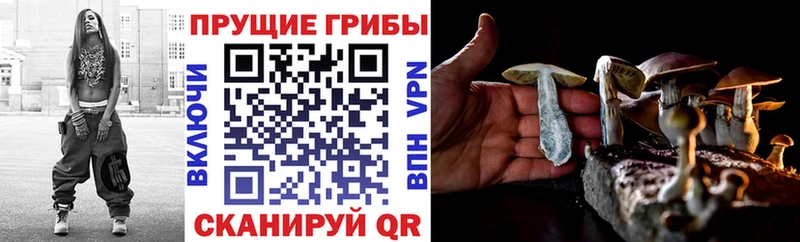 мега ТОР  дарнет шоп  Ува  Галлюциногенные грибы ЛСД 
